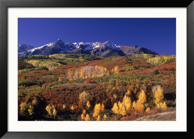 San Juan Mountain Range Behind Fall Foliage, Co by Bill Bonebrake Pricing Limited Edition Print image