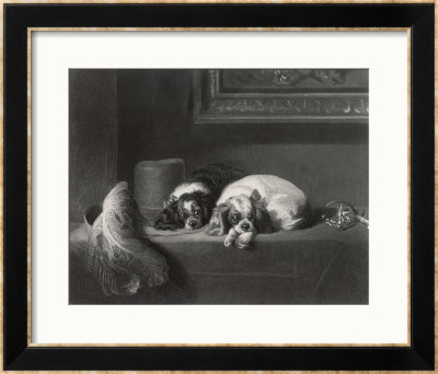 King Charles Spaniels The Cavalier Pets by J. Outrim Pricing Limited Edition Print image