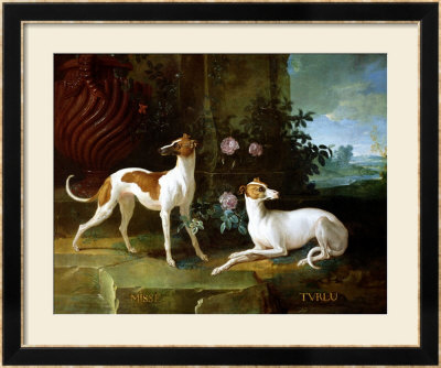 Misse And Turlu, Two Greyhounds Of Louis Xv by Jean-Baptiste Oudry Pricing Limited Edition Print image