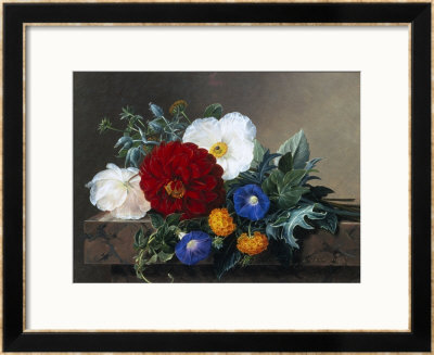 Dahlia With White Poppies, Cherianthus And Morning Glories by Johan Laurentz Jensen Pricing Limited Edition Print image