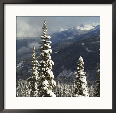 Whistler, Canada, Winter by Keith Levit Pricing Limited Edition Print image