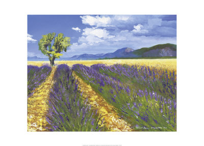 Lavendelfeld Mit Baum by Talantbek Chekirov Pricing Limited Edition Print image