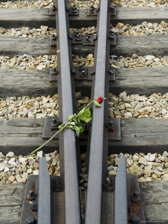 Tributes Left To The Dead At Auschwitz Second Concentration Camp At Birkenau, Poland by Robert Harding Pricing Limited Edition Print image