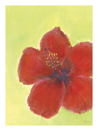 Red Hibiscuis by Flavia Weedn Pricing Limited Edition Print image
