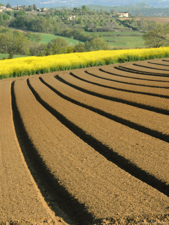 Plowed Bare Field In Provence With Countryside In The Background, France by Stephen Sharnoff Pricing Limited Edition Print image