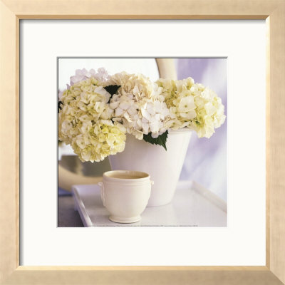 Hortensias Blancs by Aaron Mccoy Pricing Limited Edition Print image
