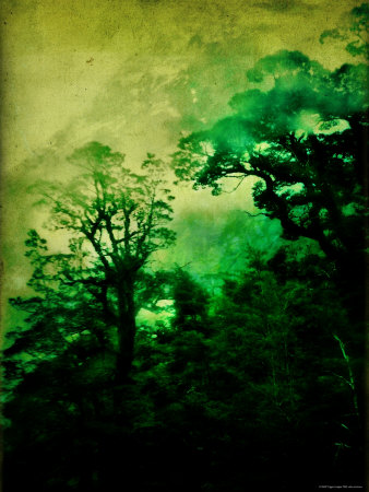 Ominous by Vanessa Ho Pricing Limited Edition Print image