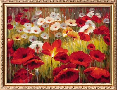 Meadow Poppies Ii by Lucas Santini Pricing Limited Edition Print image