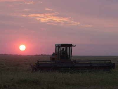 Farmer In Tractor, Sunset, Manitoba Prairie by Keith Levit Pricing Limited Edition Print image