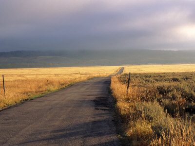 Empty Road And Wheat Field, Missouri by Chip Henderson Pricing Limited Edition Print image