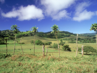 Central Valley, Costa Rica by John Anderson Pricing Limited Edition Print image