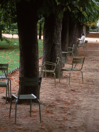 Chairs In Luxembourg Gardens, Paris, France by Eric Kamp Pricing Limited Edition Print image