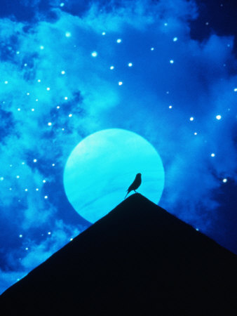 Bird On A Roof Against Moon by Bill Binger Pricing Limited Edition Print image