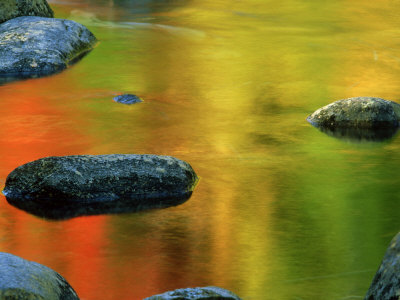 Fall Colour On The Swift River, Nh, Usa by Gustav Verderber Pricing Limited Edition Print image