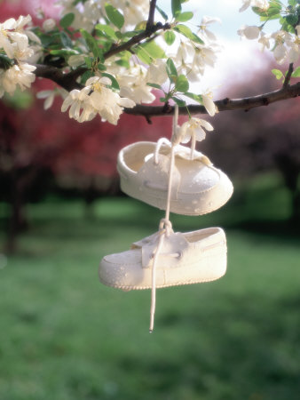Baby Shoes Hanging From Tree Branch by Henryk T. Kaiser Pricing Limited Edition Print image