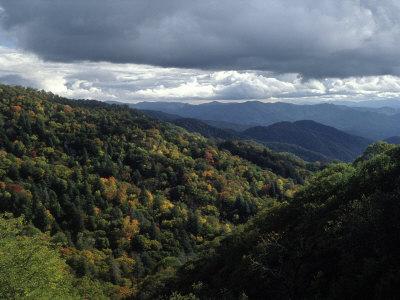 Newfound Gap, Great Smoky Mt. National Park, Tn by Jack Hoehn Jr. Pricing Limited Edition Print image