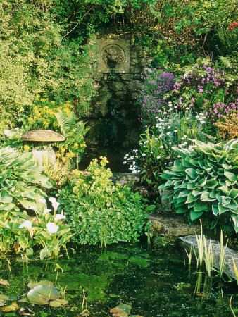 Small Pond, Lion's Head Water Spout, Saddle Stone Horn Park Gardens, Dorset by Mark Bolton Pricing Limited Edition Print image