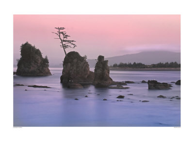 Pacific Coast by Elizabeth Carmel Pricing Limited Edition Print image