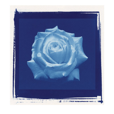 The Perfect Rose by David Chow Pricing Limited Edition Print image