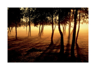 Mist And Sunlight by Jan Tove Pricing Limited Edition Print image