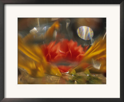 Abstract Of Daylily And Begonia In Vase, Minnesota, Usa by Richard Hamilton Smith Pricing Limited Edition Print image