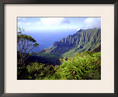 View Above The Na Pali Coast, Kauai, Hawaii, Usa by Christopher Talbot Frank Pricing Limited Edition Print image