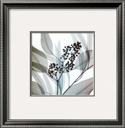 Eucalyptus by Steven N. Meyers Pricing Limited Edition Print image