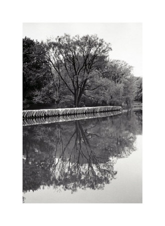 Central Park Lake Ii by Bill Perlmutter Pricing Limited Edition Print image