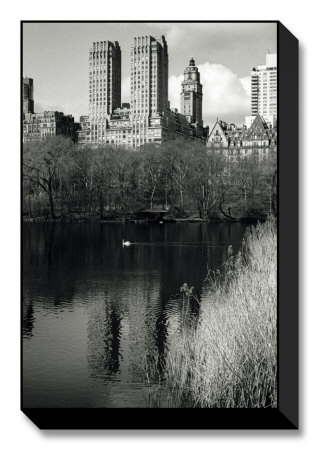 Central Park Lake Iv by Bill Perlmutter Pricing Limited Edition Print image
