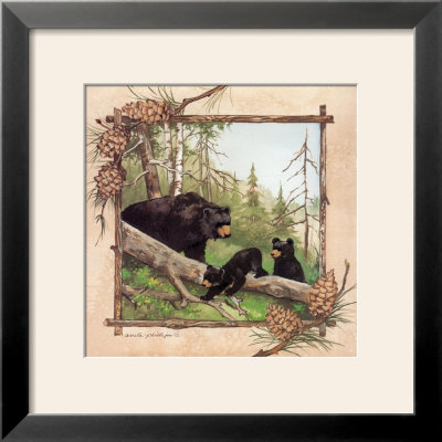 Black Bears Iv by Anita Phillips Pricing Limited Edition Print image