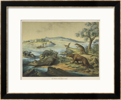 Animals And Plants Of The Post-Jurassic Era In Southern England by Ferdinand Von Hochstetter Pricing Limited Edition Print image