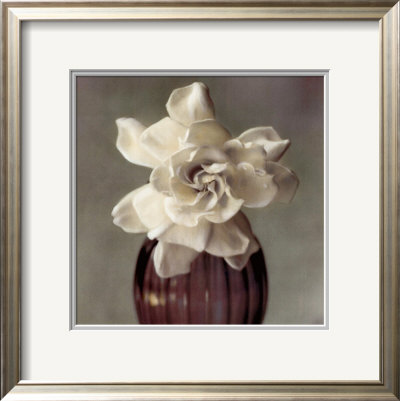 Gardenia In Purple Vase by Carnochan Pricing Limited Edition Print image