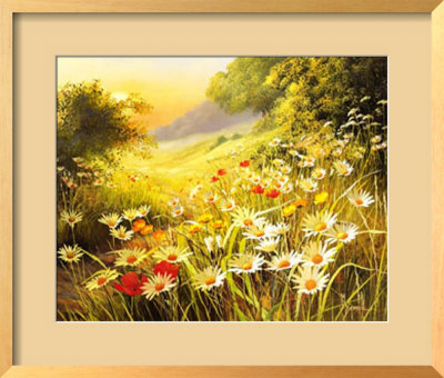 Evening Sun by Mary Dipnall Pricing Limited Edition Print image