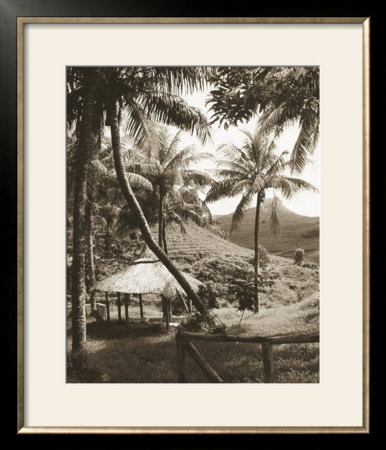 Hut And Palm Trees by Alexis De Vilar Pricing Limited Edition Print image