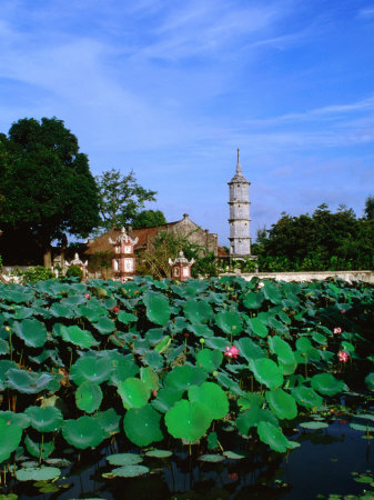 Lotus Pond In Front Of 22M High Thap Bac, Hanoi, Vietnam by Bill Wassman Pricing Limited Edition Print image