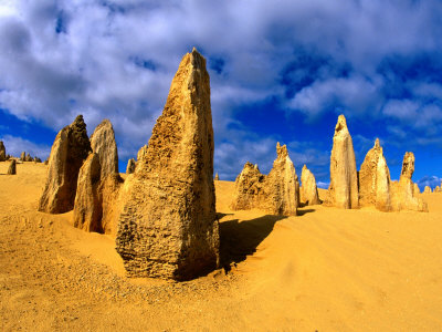 Pinnacles In Early Morning Light, Nambung National Park, Australia by Chris Mellor Pricing Limited Edition Print image