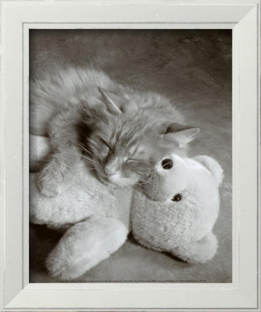 Nap With Teddy by Vikki Hart Pricing Limited Edition Print image