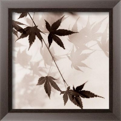 Japanese Maple Leaves I by Alan Blaustein Pricing Limited Edition Print image