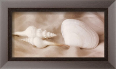 Shell Sonnet Lv by Judy Mandolf Pricing Limited Edition Print image