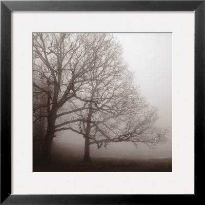 Serenity (2005) by Erin Clark Pricing Limited Edition Print image