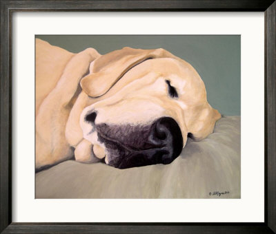 A Head Pillow Is Nice by Amy Reges Pricing Limited Edition Print image