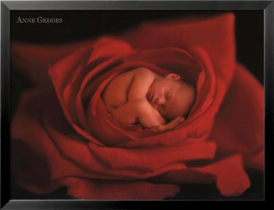 Jake In Red Rose by Anne Geddes Pricing Limited Edition Print image