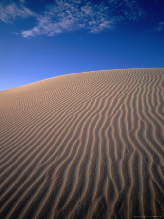 Sand Dunes, Eucla National Park, Australia by John Banagan Pricing Limited Edition Print image