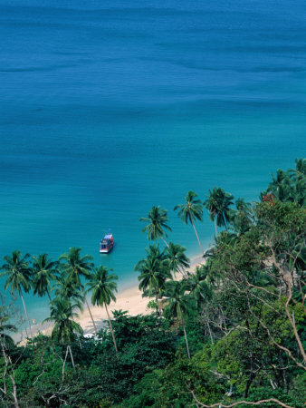 High View Of Palm Trees And Ocean, Thailand by Joe Cummings Pricing Limited Edition Print image