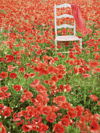 Field Of Papaver (Poppy) With Pale Green Chair & Red Spotted Scarf From The Country Weekend Book by Linda Burgess Pricing Limited Edition Print image
