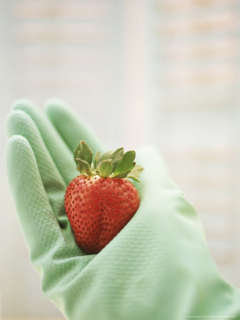 Hand Wearing Rubber Glove & Holding A Strawberry by Erika Craddock Pricing Limited Edition Print image