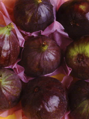 Figs On Pink Tissue Paper Background by Jan Ceravolo Pricing Limited Edition Print image