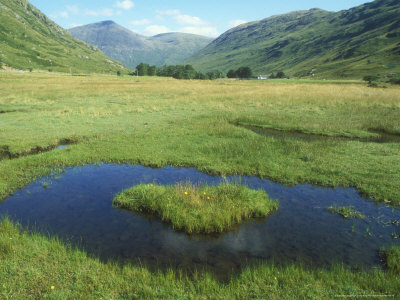 River Valley Over The Machair, Scotland by David Boag Pricing Limited Edition Print image