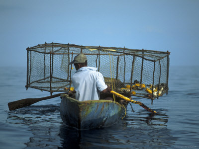 Fisherman With Traps by Mark Hunt Pricing Limited Edition Print image
