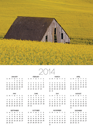 Decaying Barn And Canola Field by Darrell Gulin Pricing Limited Edition Print image